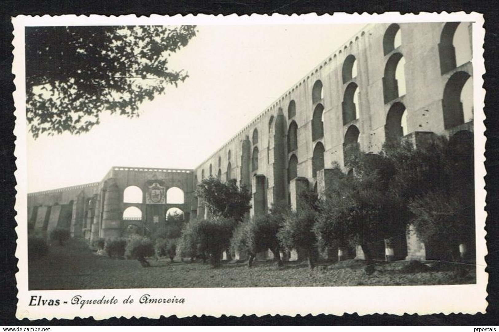 ELVAS (Portugal) - Aqueduto De Amoreira - Portalegre