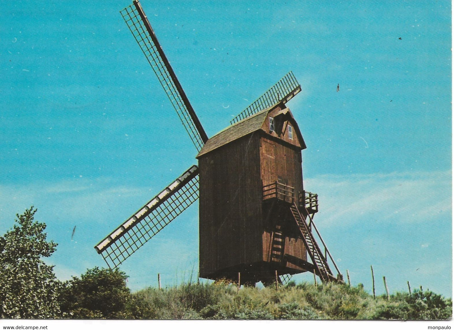 Belgique. CPM. Flandre Occidentale. Koksijde. (Coxyde) Windmolen (moulin à Vent, Wind-mill) - Koksijde