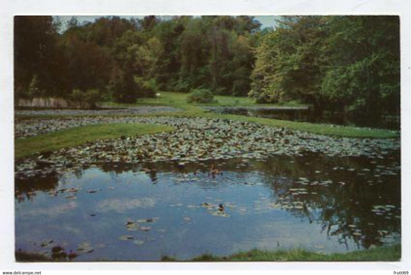 AK 106992 USA - Massachusetts - Springfield - Forest Park - Duck Pond - Springfield