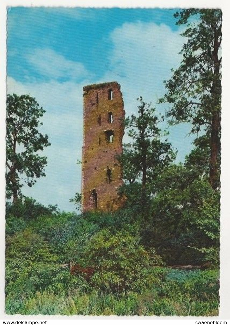 NL.- OOSTERHOUT. RUINE VAN STRYEN. - Oosterhout