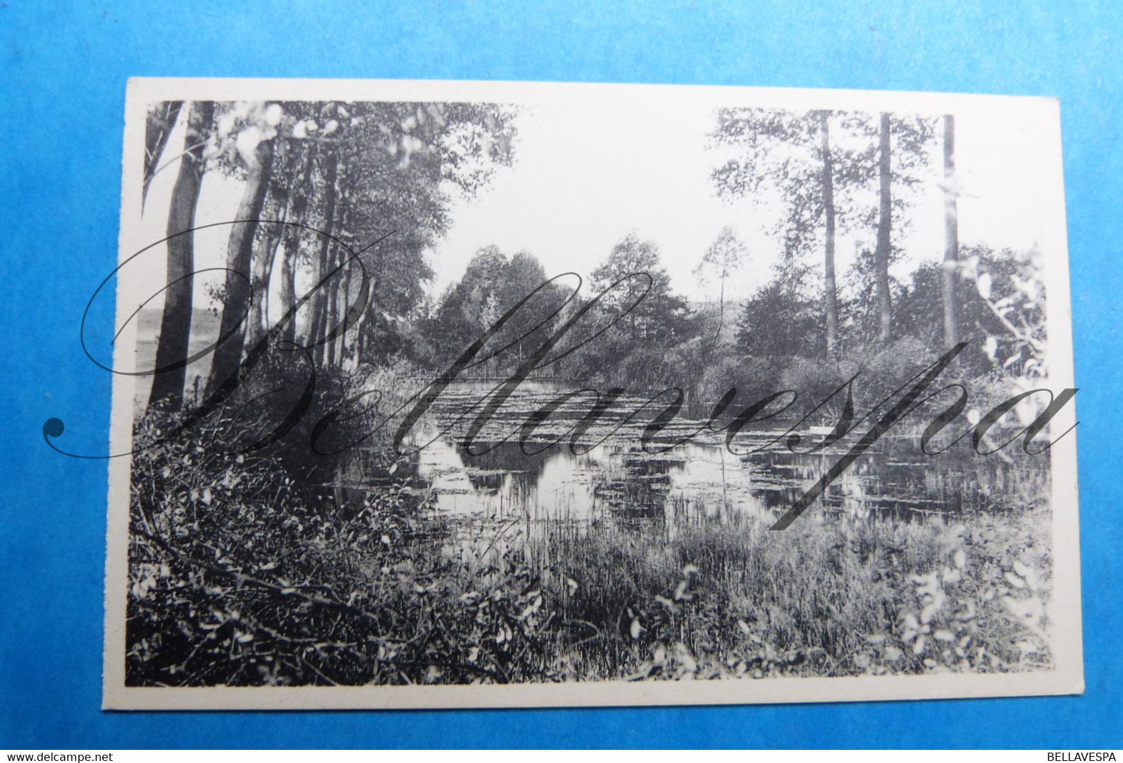 Berzée Les Etangs Et Hotel Eglise Chateau // Lot X 2 Cpa - Walcourt