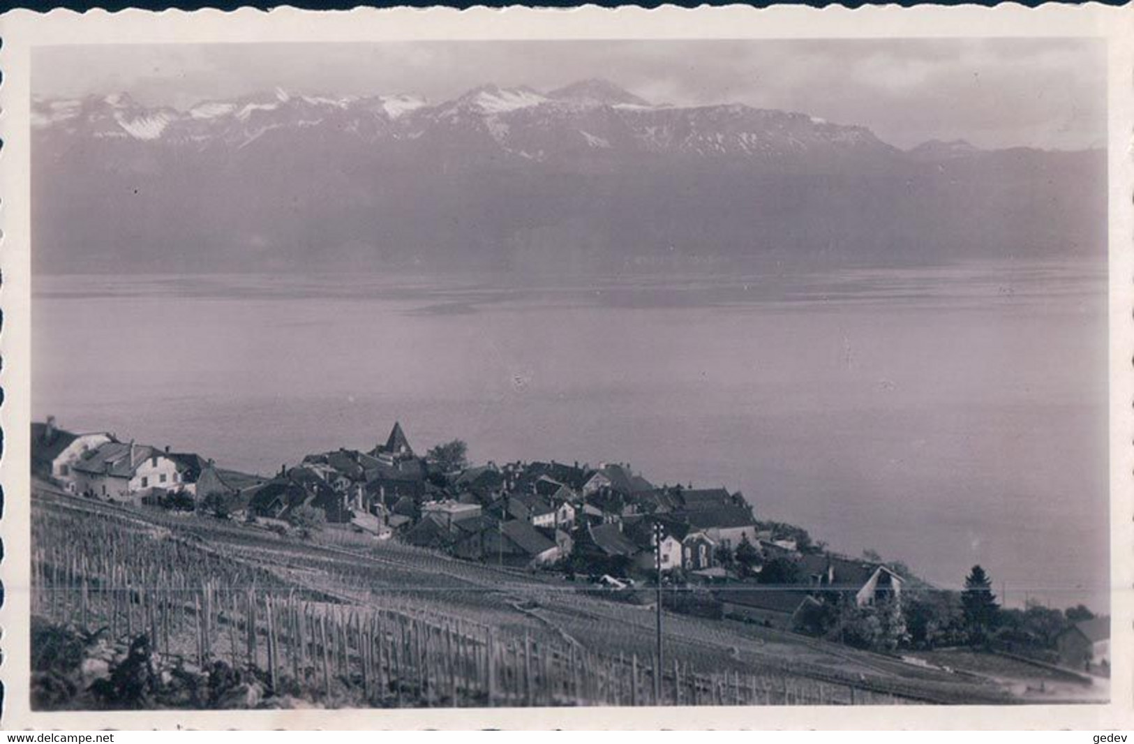 Grandvaux VD Et Les Alpes (50546) - Grandvaux