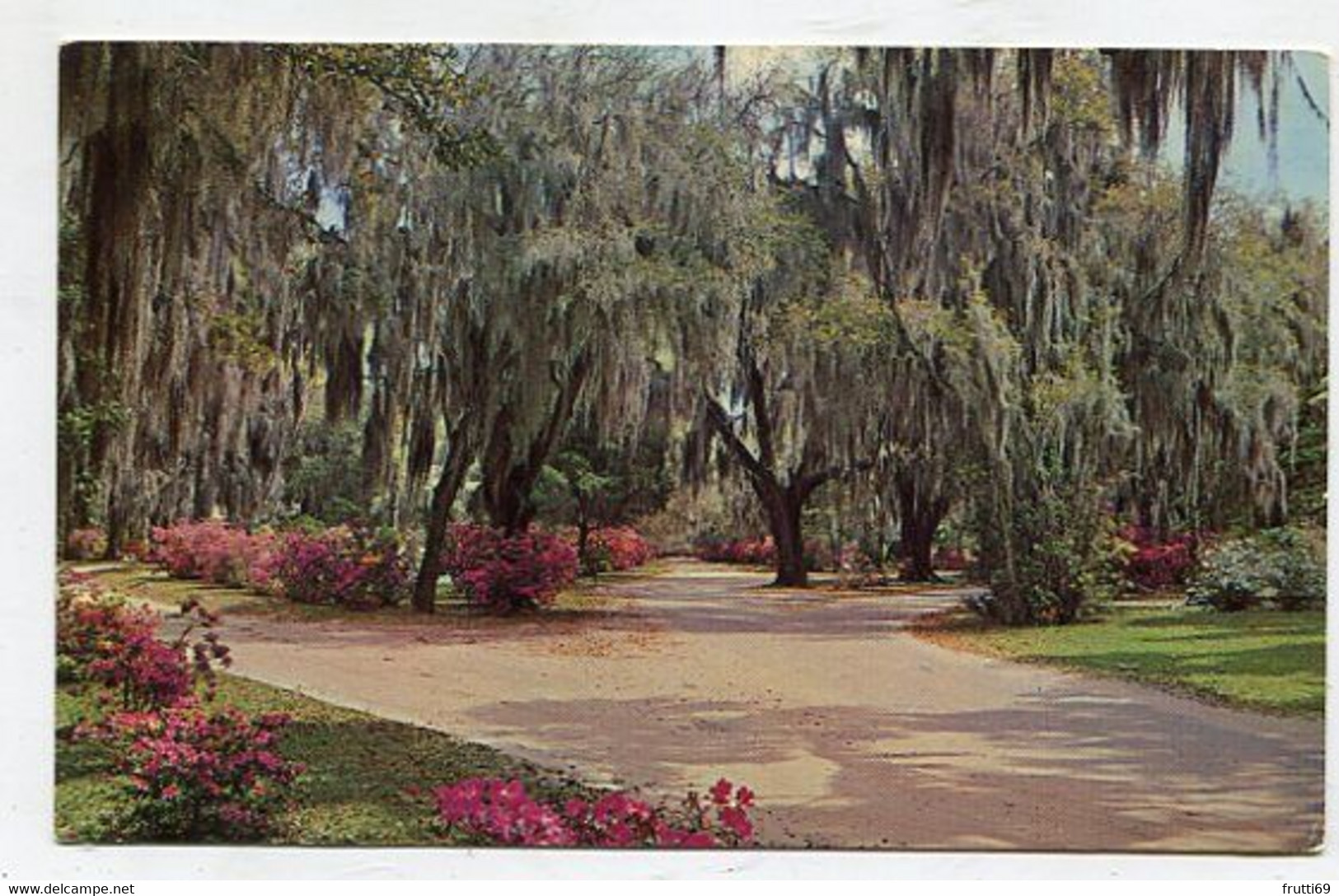 AK 107113 USA - Georgia - Savannah - Scene In Bonaventure Cemetery - Savannah