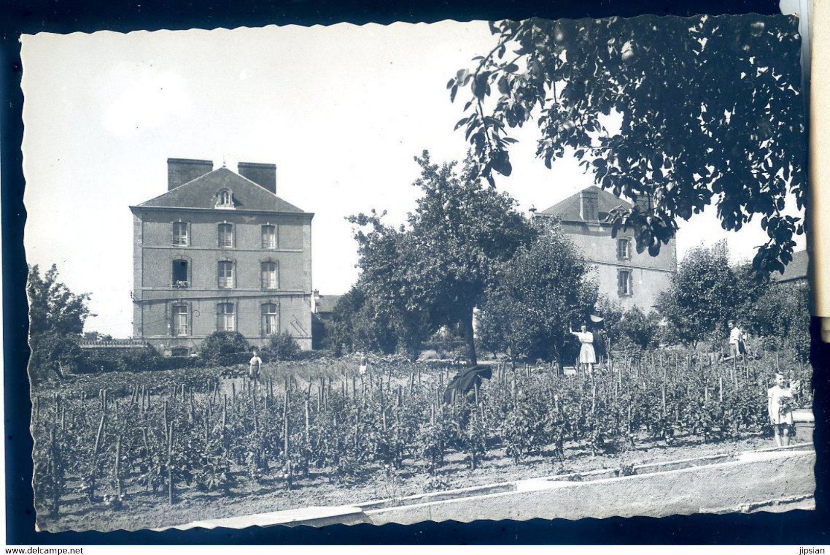 Cpsm Du 22  Merdrignac Communauté Des Filles De La Croix -- Un Coin Du Jardin  LANR9 - Loudéac