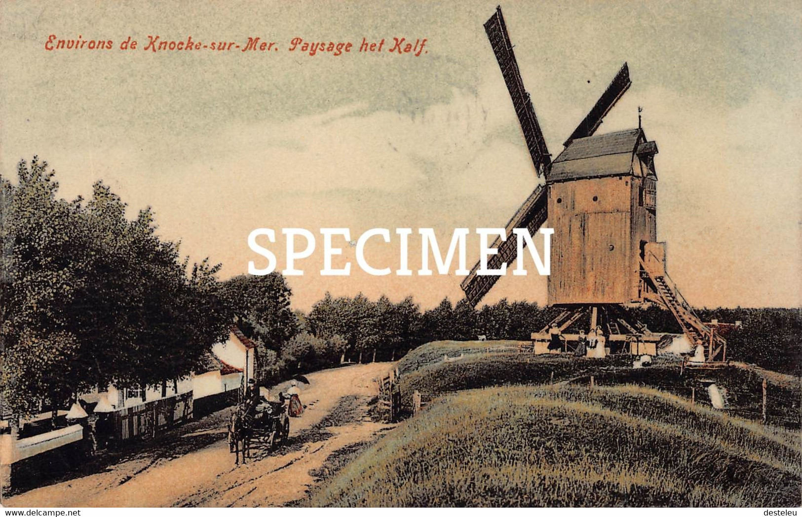 Paysage Het Kalf - Molen - Knocke - Knokke - Knokke