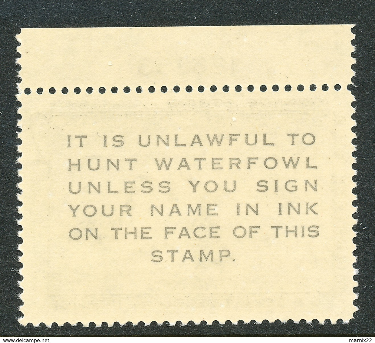 HUNTING PERMIT STAMP - DUCKSTAMP 1958 - MNH - (RW25) - Duck Stamps