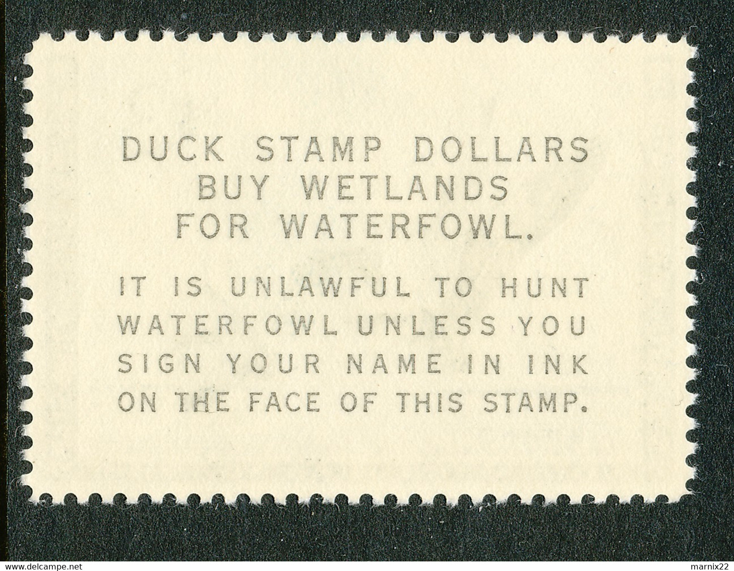 HUNTING PERMIT STAMP - DUCKSTAMP 1963 - MNH - (RW30) - Duck Stamps