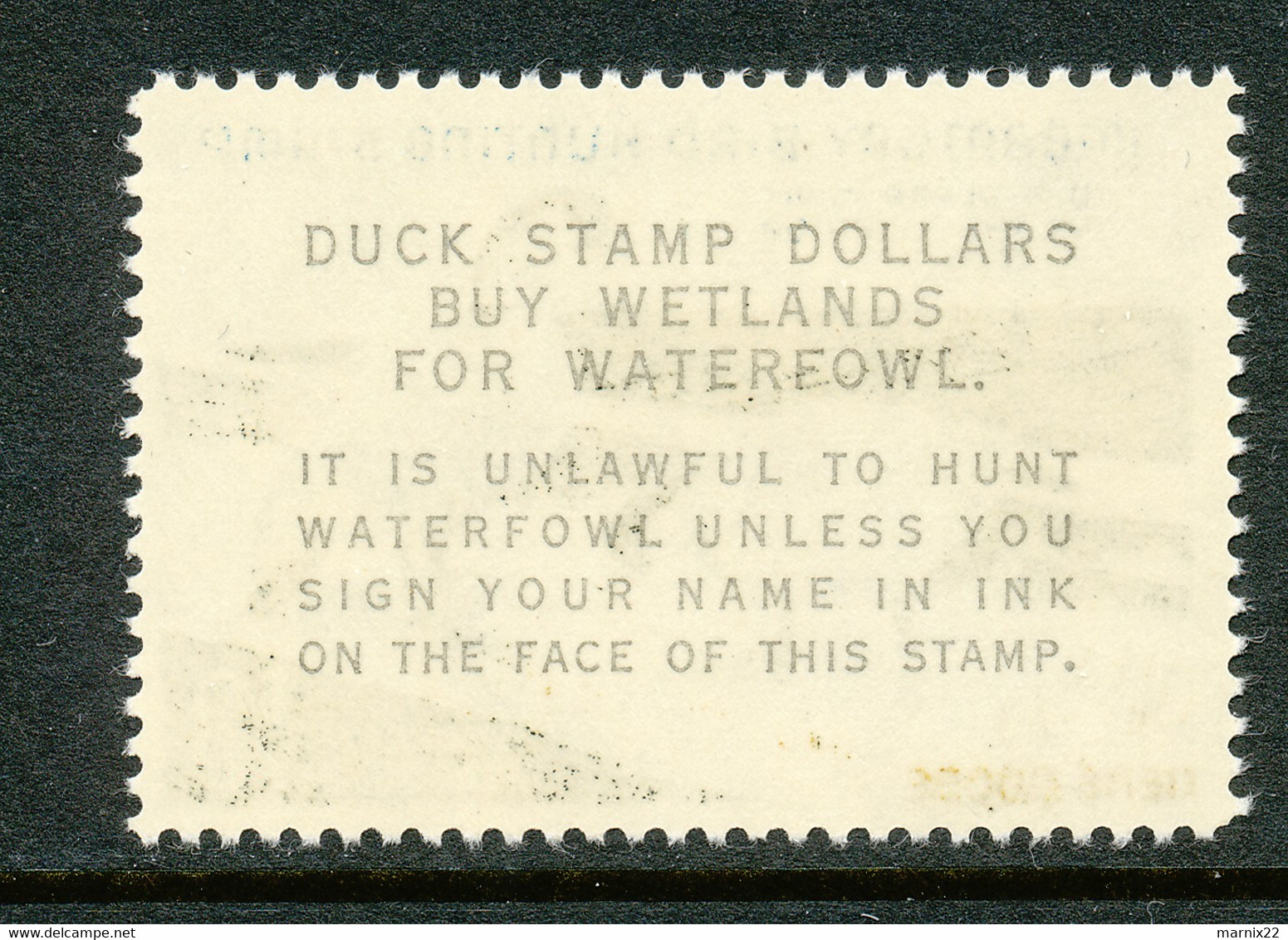 HUNTING PERMIT STAMP - DUCKSTAMP 1964 - MNH - (RW31) - Duck Stamps