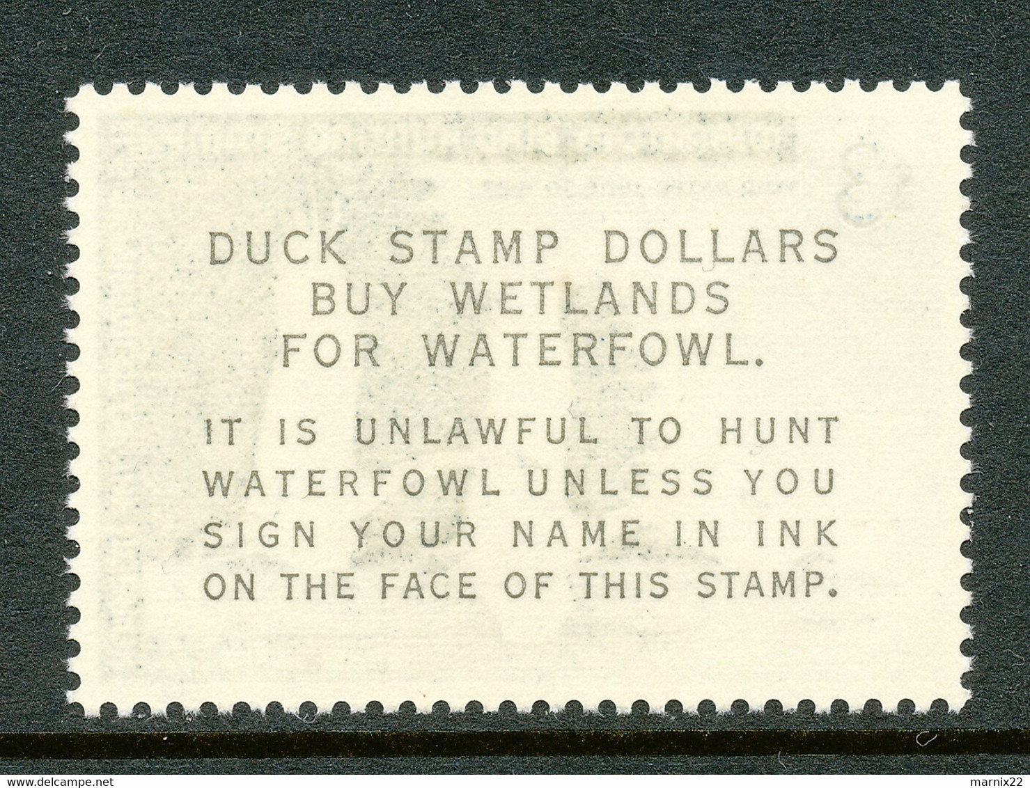 HUNTING PERMIT STAMP - DUCKSTAMP 1966 - MNH - (RW33) - Duck Stamps