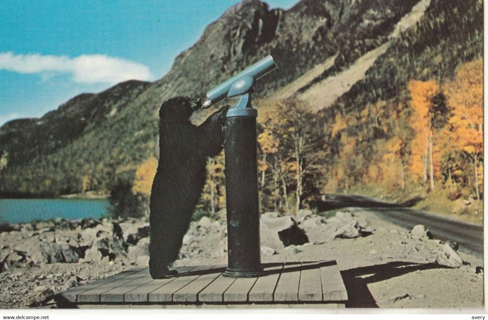 The Franconia Notch Landslides Of 1948 This Native New Hampshire With His "bear" Feet Takes A Look - White Mountains