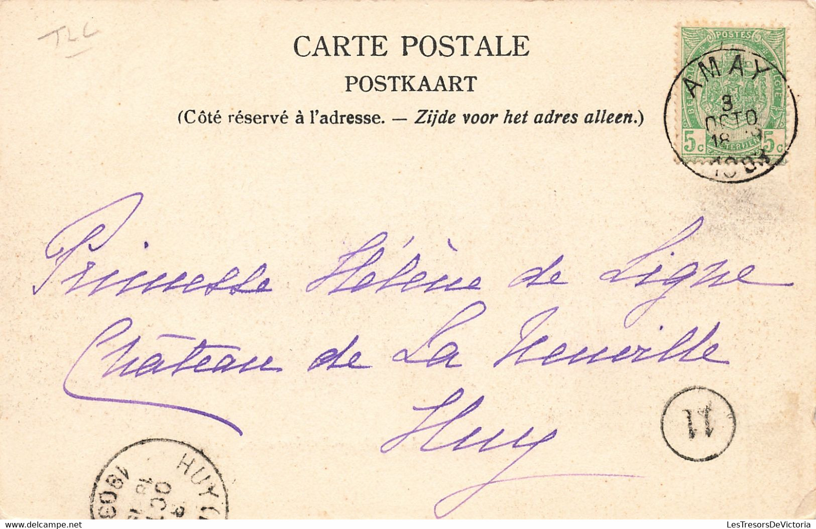 CPA - Belgique - Jehay Bodegnée - Le Château De Jehay Bodegnée - Edit. Thiry - Précurseur - Etang - Oblitéré Amay 1903 - Amay