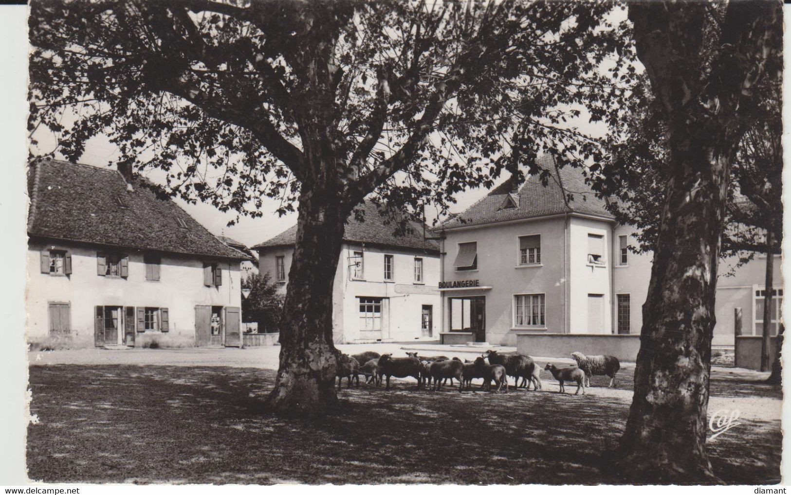 SAINT ANDRE LE GAZ (38) - La Place De L'Eglise - Bon état - Saint-André-le-Gaz