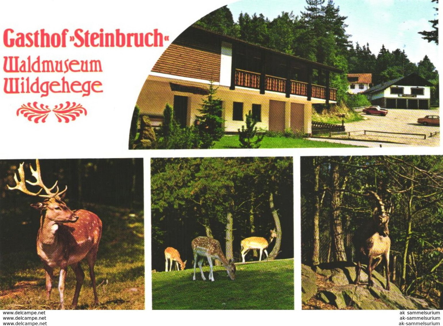 Furth Im Wald / Gasthof Steinbruch (D-A322) - Furth