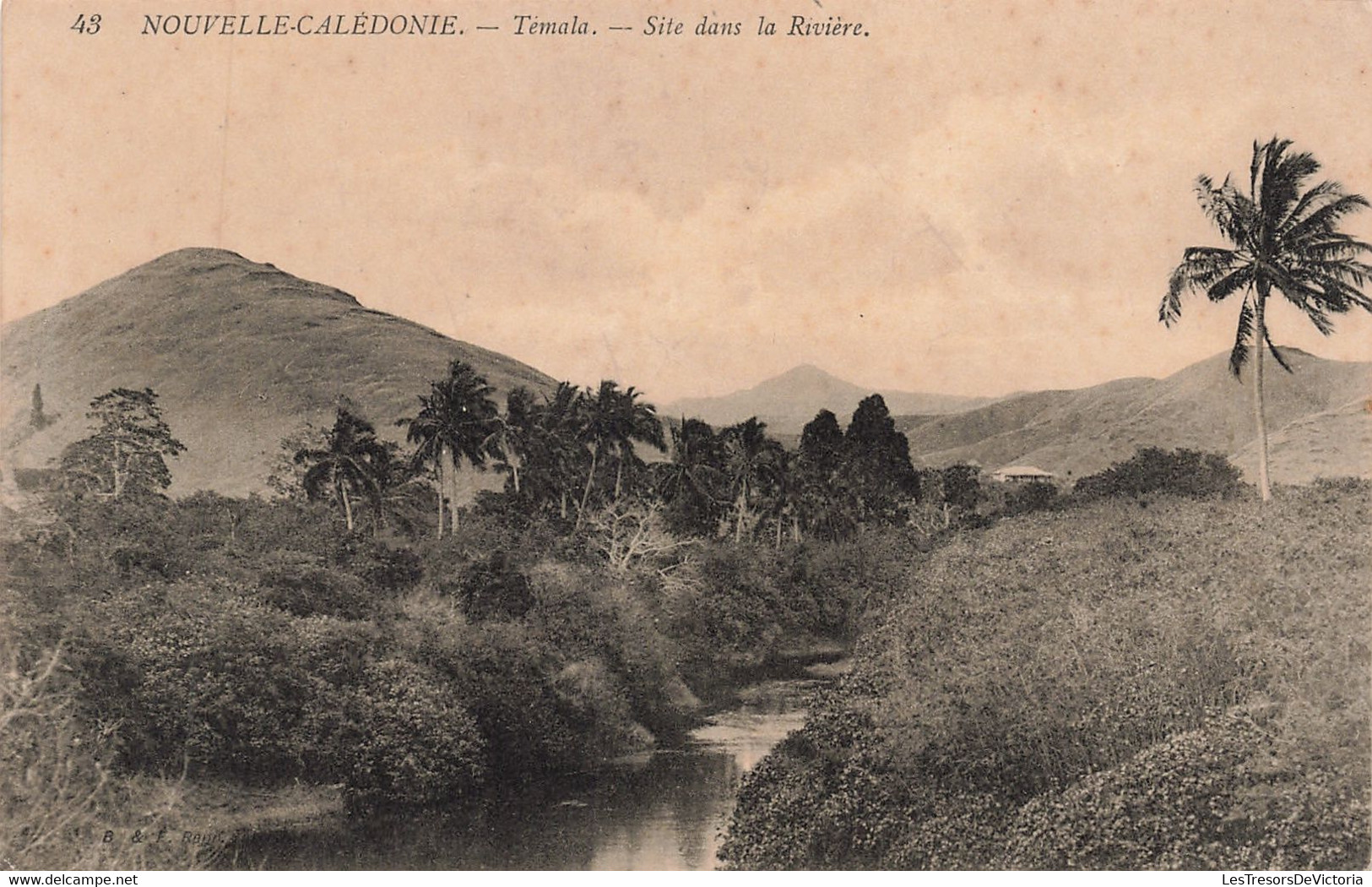 CPA - Nouvelle Calédonie - Témala - Site Dans La Rivière - Edit. B. Et F. - Palmier - Rivière - Nuova Caledonia