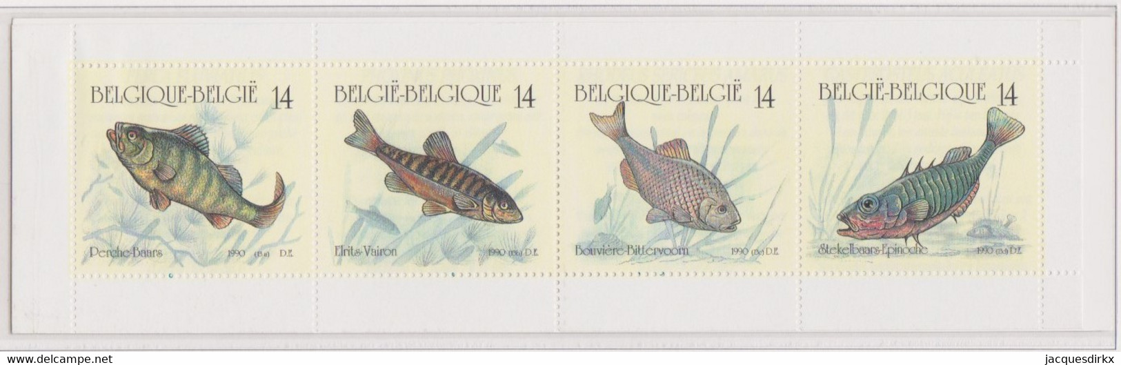 Belgie    .   OBP    B  20       .    **    .     Postfris   .    Neuf Avec Gomme Et SANS Charnière - Non Classificati