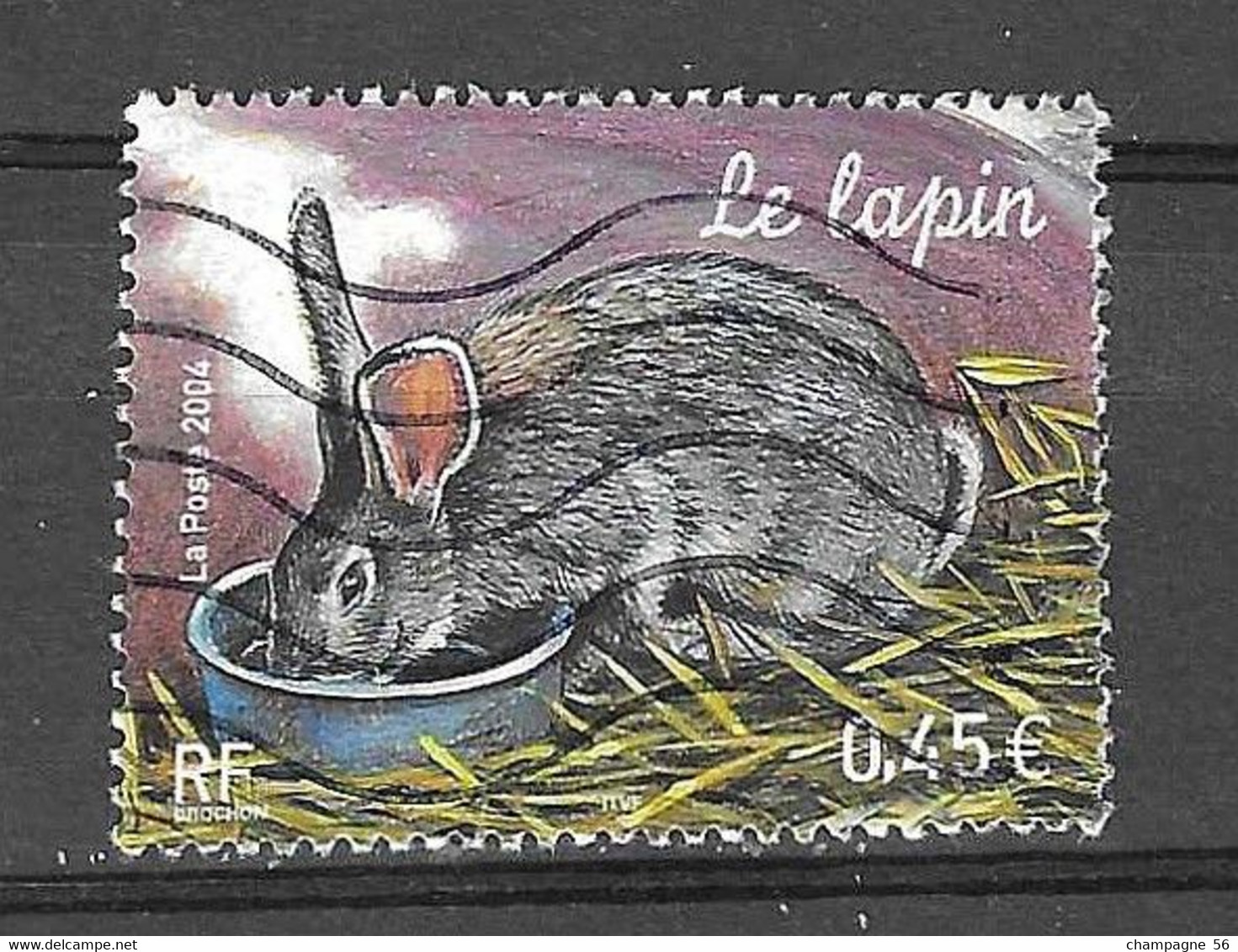 FRANCE 2004  N° 3662 OBLITERE LAPIN POINT BLANC INTERIEUX L   LAMPE U V - Gebruikt