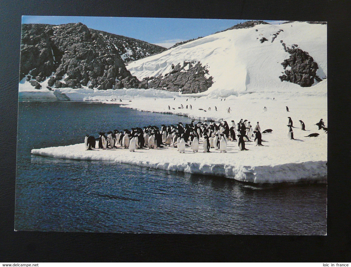 Carte Postale Expéditions Polaires Paul Emile Victor Midwinter 1986 TAAF - Midwinter