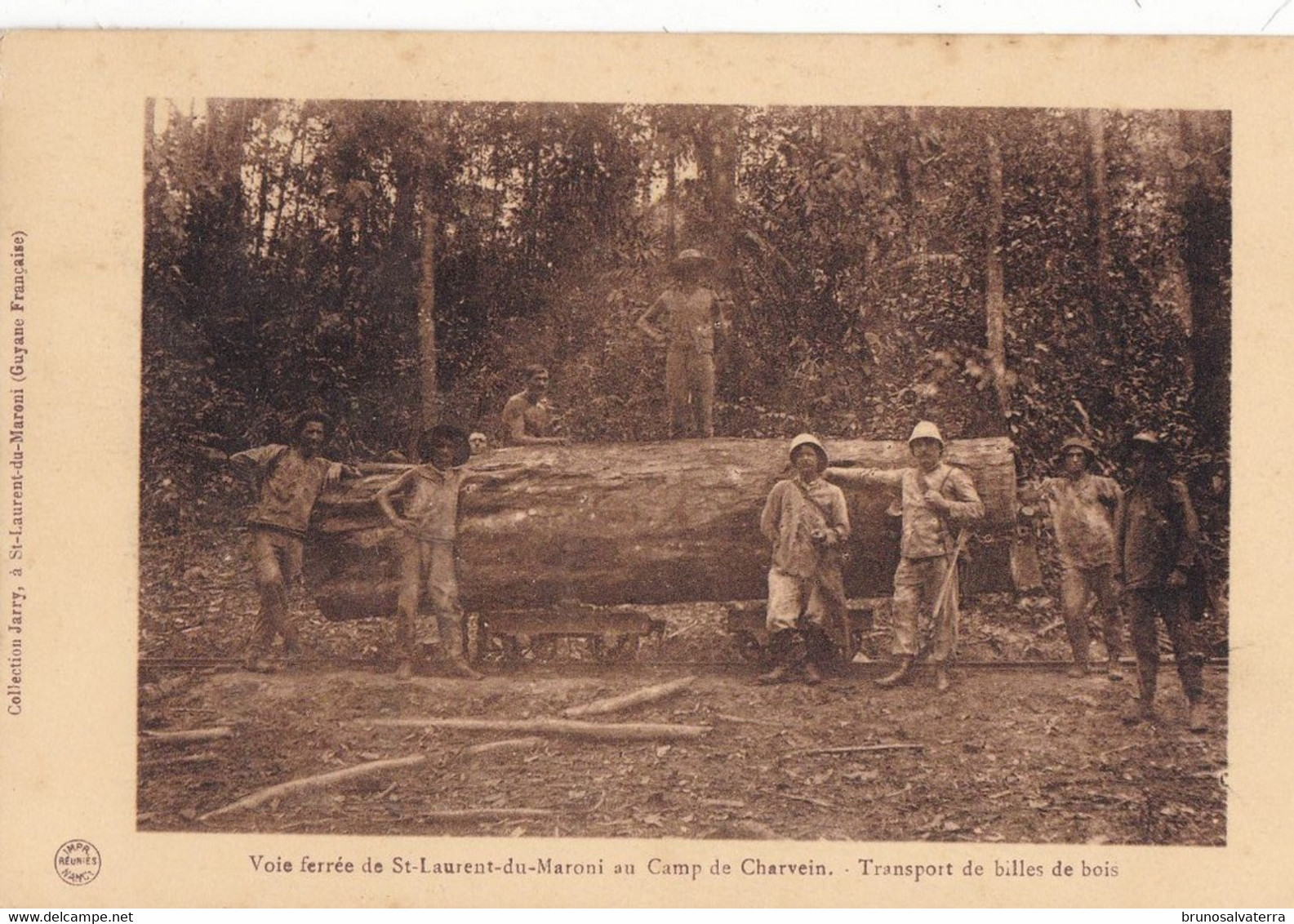 GUYANE - Voie Ferrée De Saint-Laurent Du Maroni Au Camp De Charvein - Transport De Billes De Bois - Saint Laurent Du Maroni