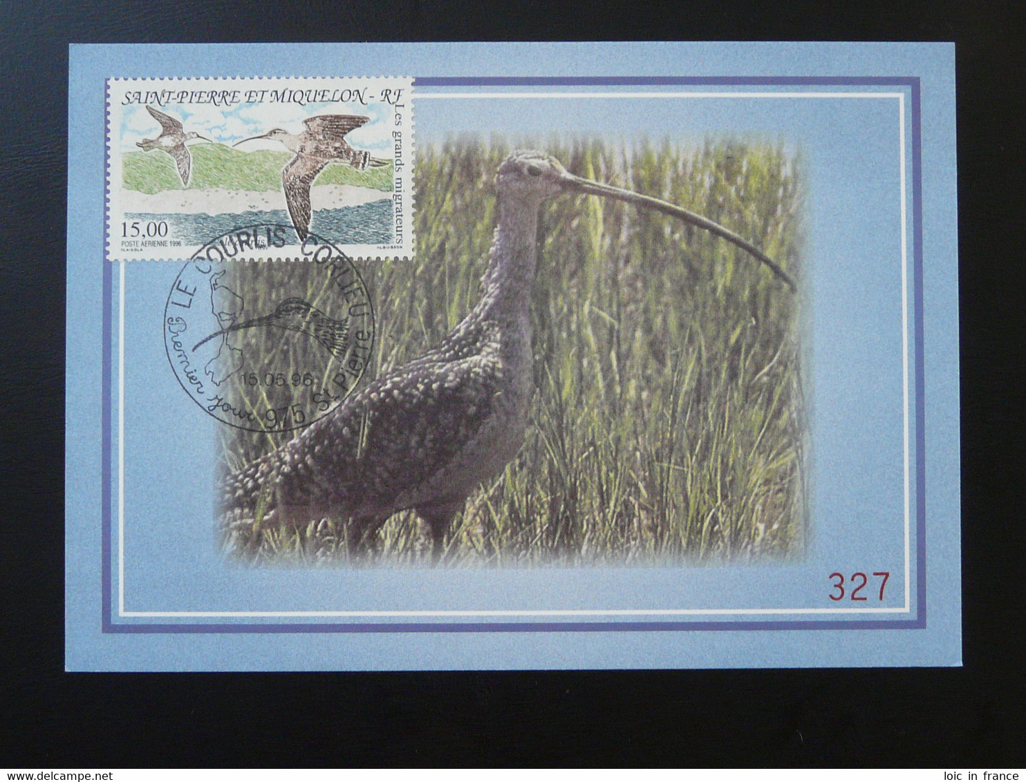 Carte Maximum Card Oiseau Migrateur Migrating Bird Saint Pierre Et Miquelon Poste Aérienne 1996 - Cartes-maximum