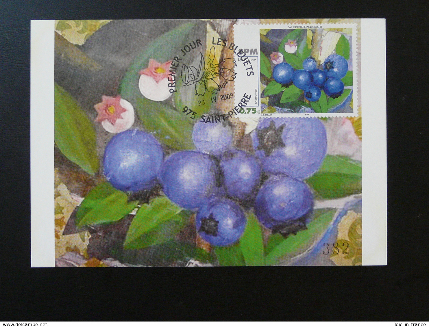 Carte Maximum Card Peinture Paintings Les Bleuets Saint Pierre Et Miquelon 2003 - Cartes-maximum