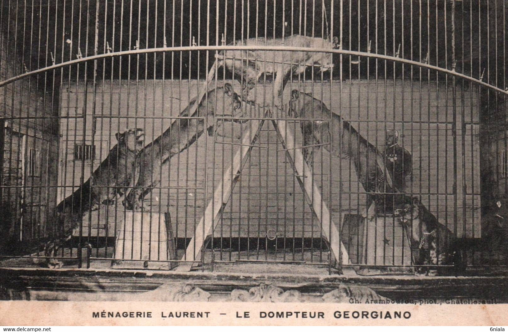 16817 Le Dompteur GIORGIANO Ménagerie LAURENT Lions   Artiste Spectacle  Phénomène De Foire Cirque  ( 2 Scans) - Circus