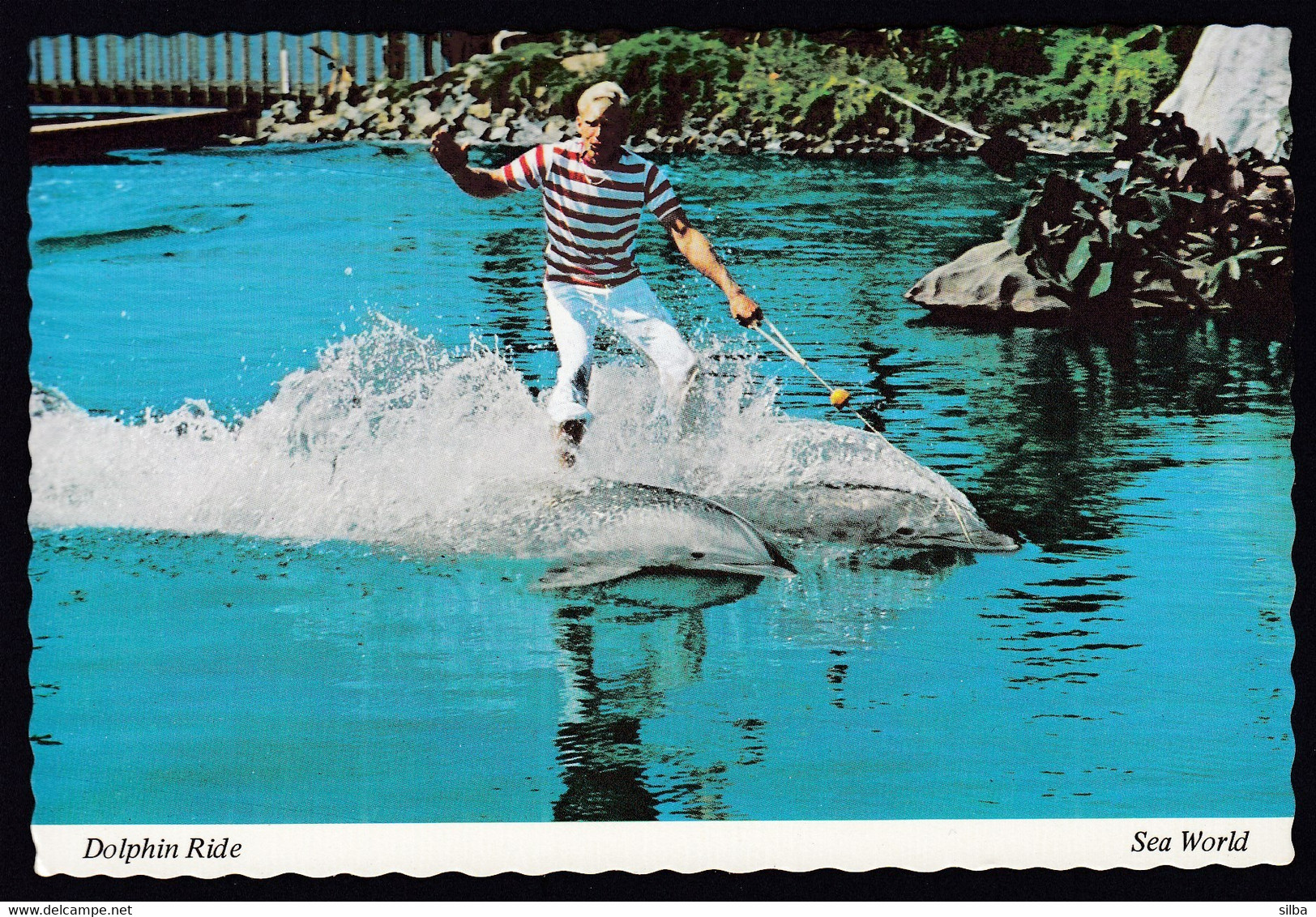 USA United States / Roman Ride, Dolphin Show, Sea World, San Diego, California / Unused, Uncirculated - San Diego