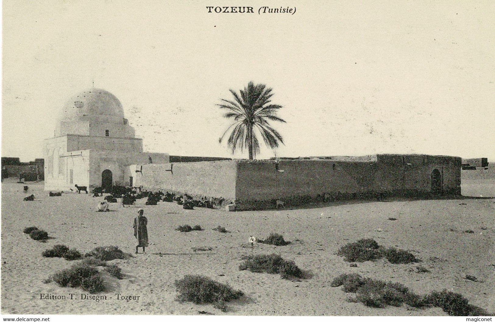 CPA - Tozeur - (Tunisie) - Sambia