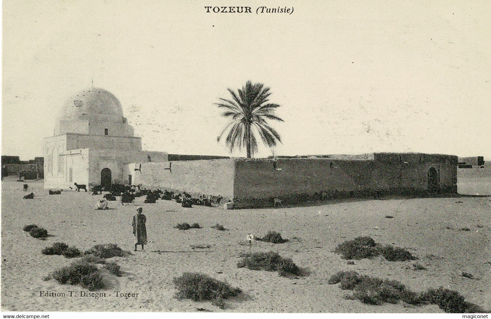 CPA - Tozeur - (Tunisie) - Zambie