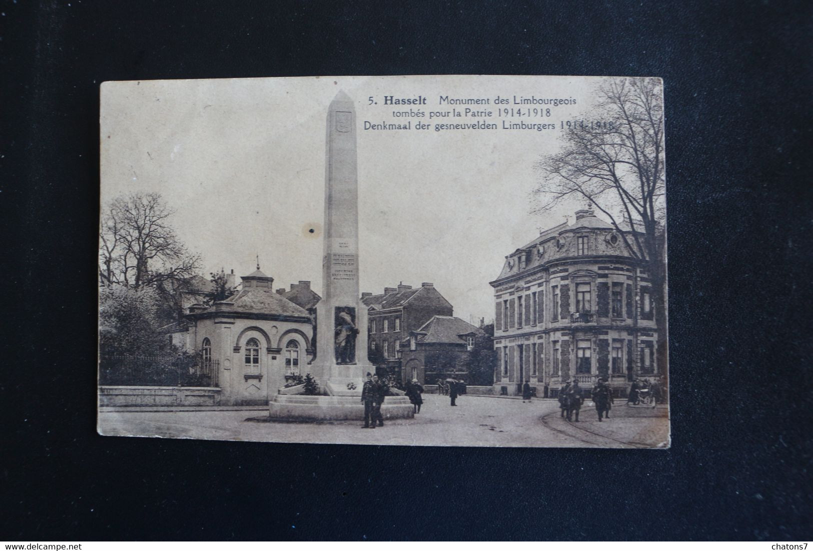 D-259-Hasselt,Monument Des Limbourgeois Tombés Pour La Patrie Denkmaal Der Gesneuvelden Limburgers 1914-1918 - Hasselt