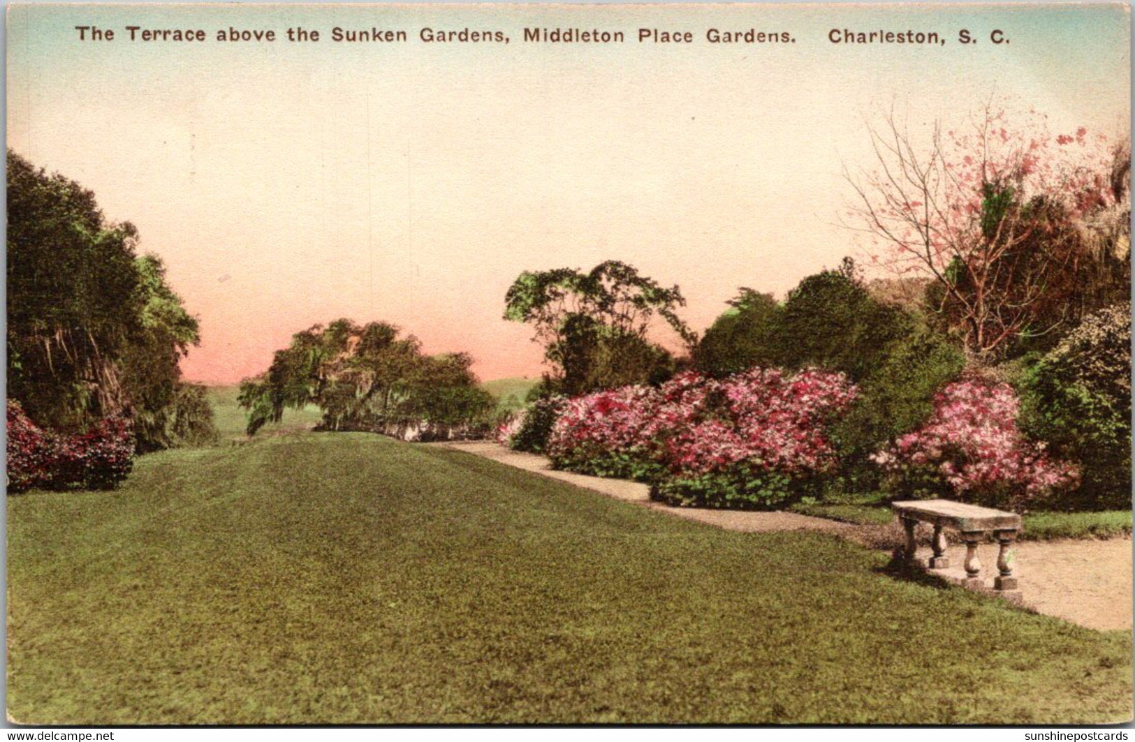 South Carolina Charleston Middleton Place Gardens Terrace Above The Sunken Gardens Handcolored Albertype - Charleston