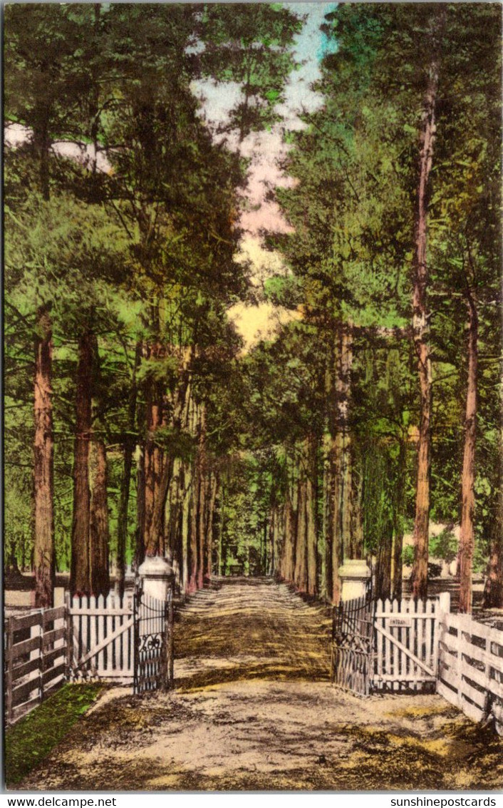 Tennesse Nashvile Entrance To The Hermitage Home Of General Sndrew Jackson Handcolored Albertype - Nashville