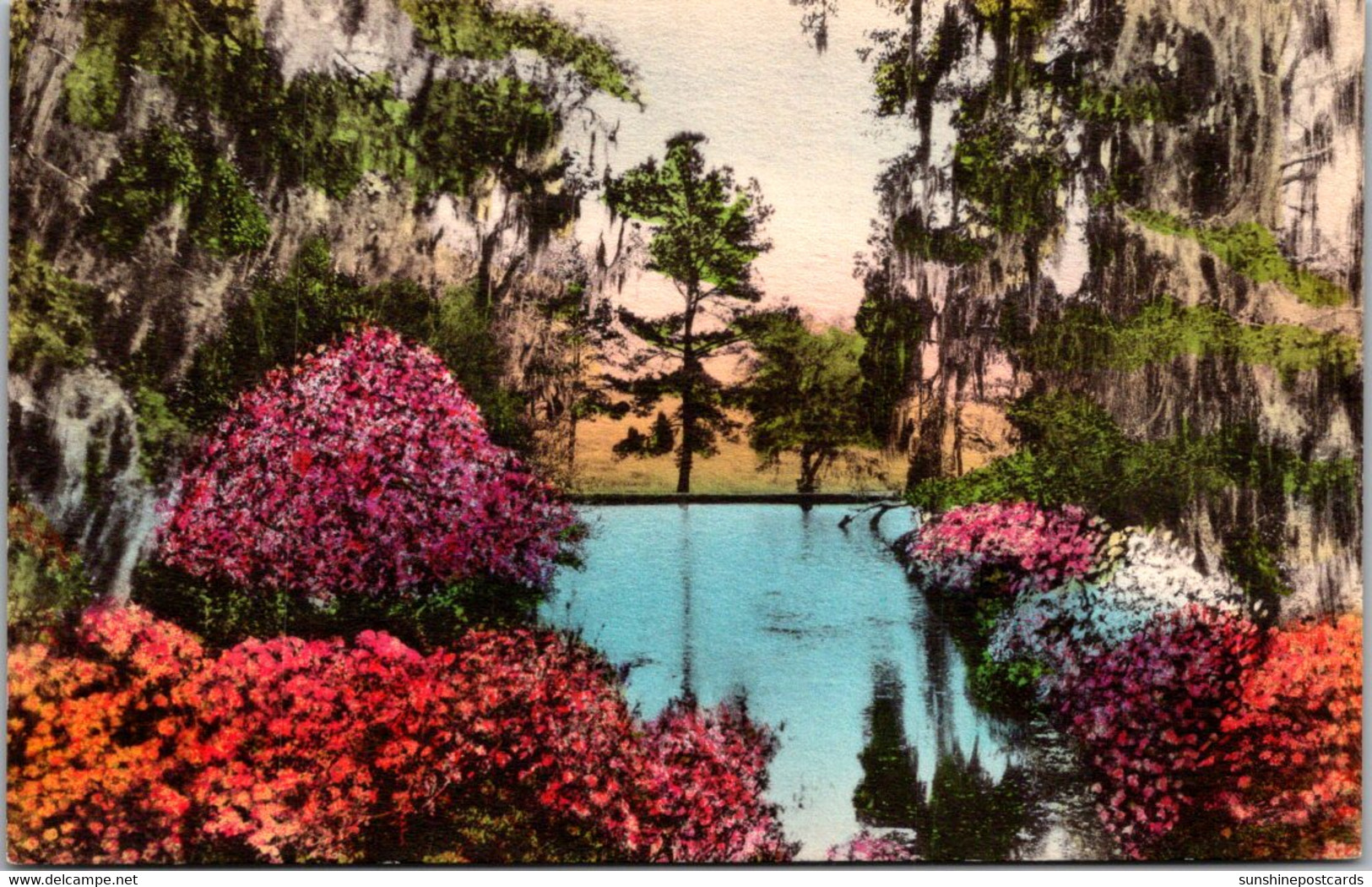 South Carolina Charleston Middleton Place Gardens The Azalea Pool Handcolored Albertype - Charleston