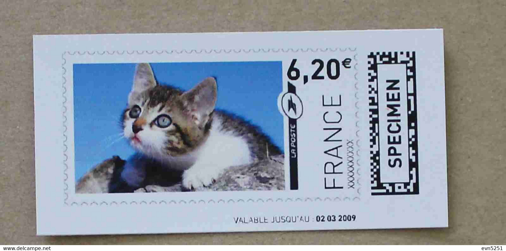 Ti02-01 :  SPECIMEN -  Chat 6.20 €  +  Chat 38.93 €  (autoadhésifs / Autocollants) - Specimen