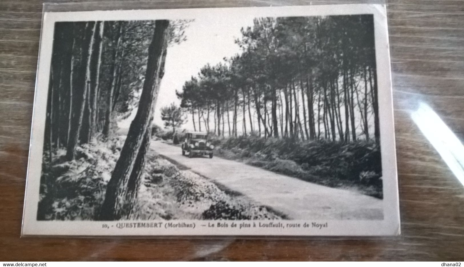 QUESTEMBERT Le Bois De Pins A Louffault Route De Noyal N°10 - Questembert