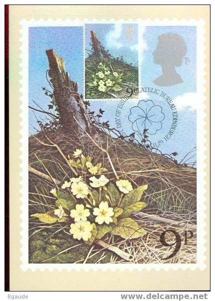 G B  CARTE MAXIMUM NUM.YVERT 886 FLEUR SAUVAGE PERCE NEIGE - Cartes PHQ