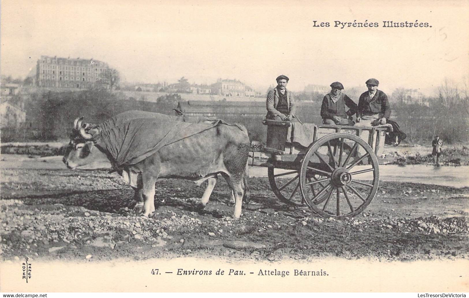 CPA Thèmes - Agriculture - Attelages - Les Pyrénées Illustrées - Environs De Pau - Attelage Béarnais - Rover Nancy - Wagengespanne