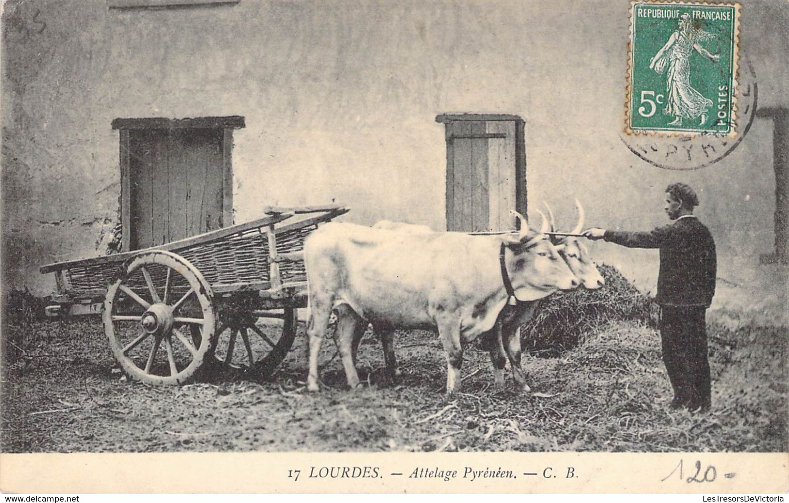 CPA Thèmes - Agriculture - Attelages - Lourdes - Attelage Pyrénées - C. B. - Oblitérée - Phototypie CH. Chambon - Teams