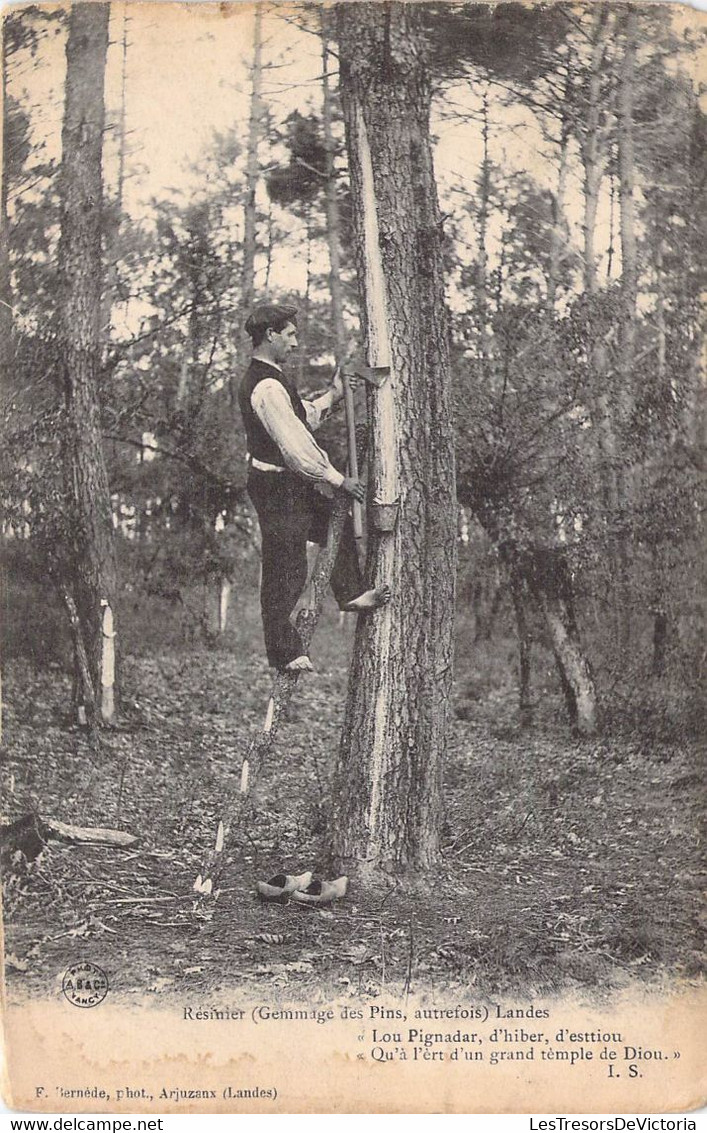 CPA Thèmes - Métiers - Paysans - Résinier - Gemmage Des Pins Autrefois - Landes - F. Bernède Phot. - Animée - Landbouwers