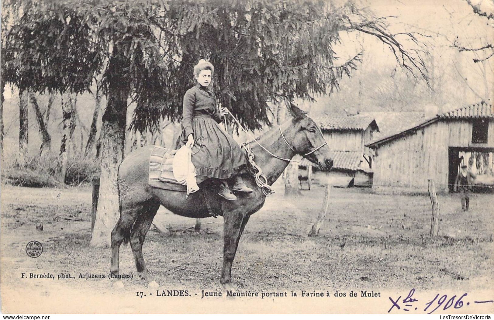 CPA Thèmes - Métiers - Paysans - Landes - Jeune Meunière Portant La Farine à Dos De Mulet - F. Bernède Phot. - Oblitérée - Landbouwers