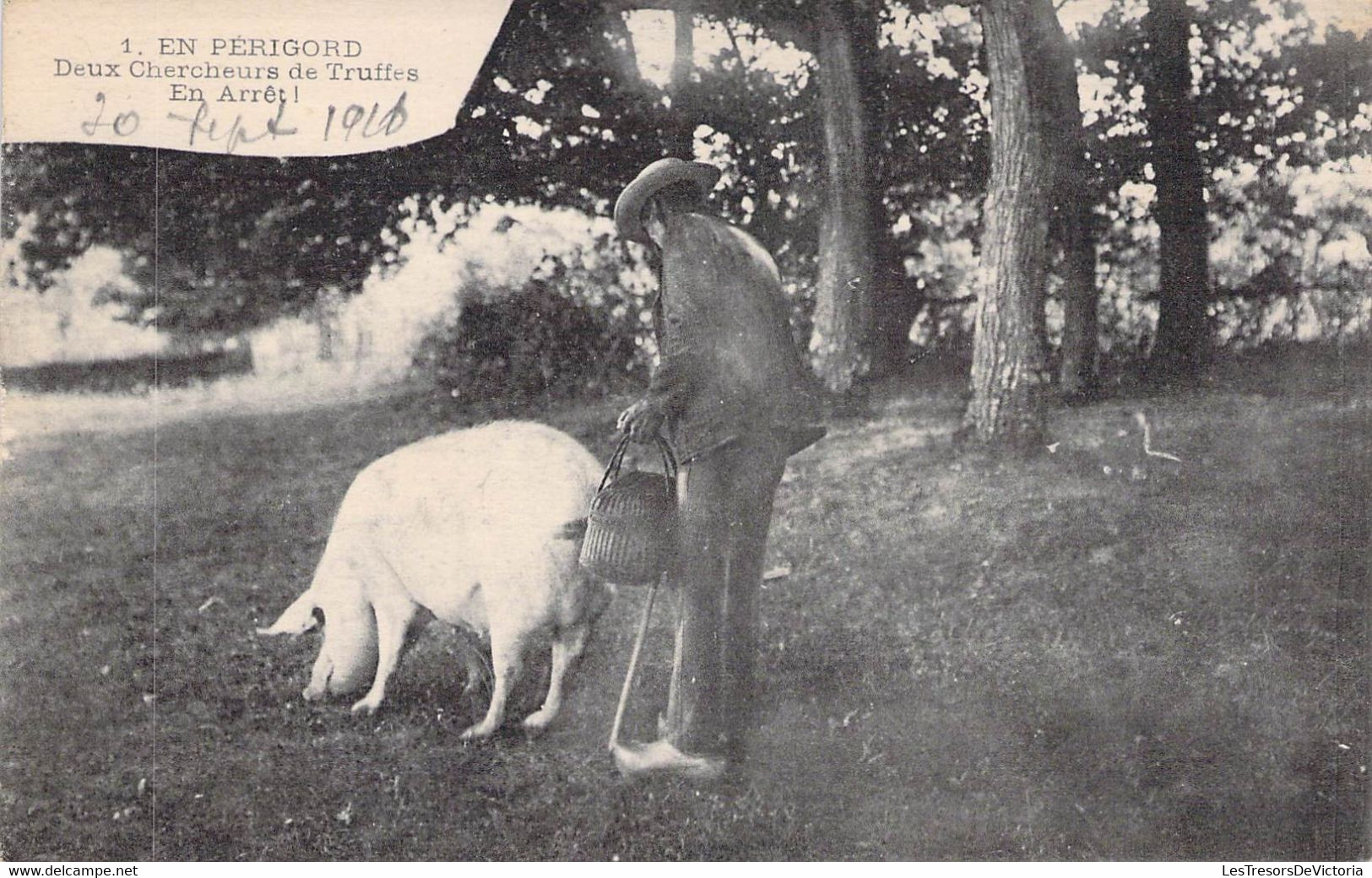 CPA Thèmes - Agriculture - En Périgord - Deux Chercheurs De Truffes En Arrêt - 1928 - Animée - Cochon - Panier - Altri & Non Classificati