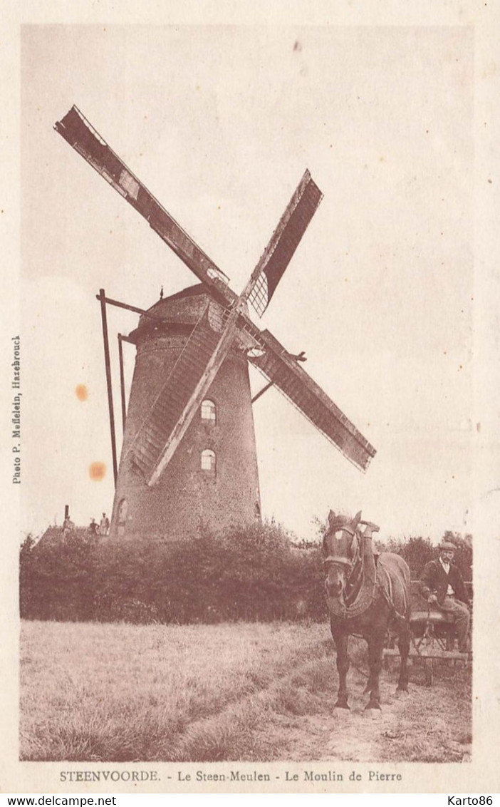 Steenvoorde * Le Steen Meulen , Le Moulin De Pierre * Thème Moulin à Vent Molen * Attelage Cheval Agricole Agriculture - Steenvoorde