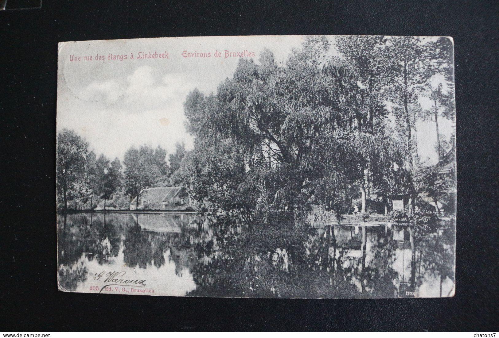 D-288 -  Brabant Flamand  Linkebeek, Une Rue Des étangs à Linkebeek   -1907 - Linkebeek