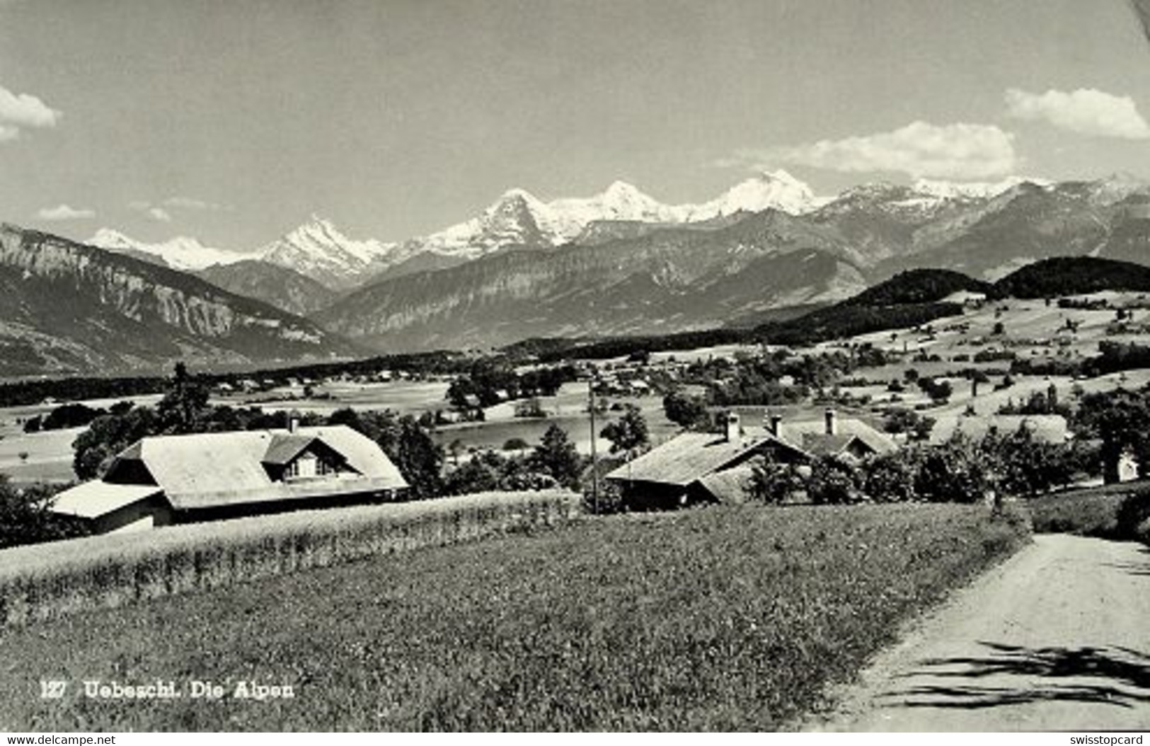 UEBESCHI Photograph F. Zimmermann Blumenstein - Blumenstein