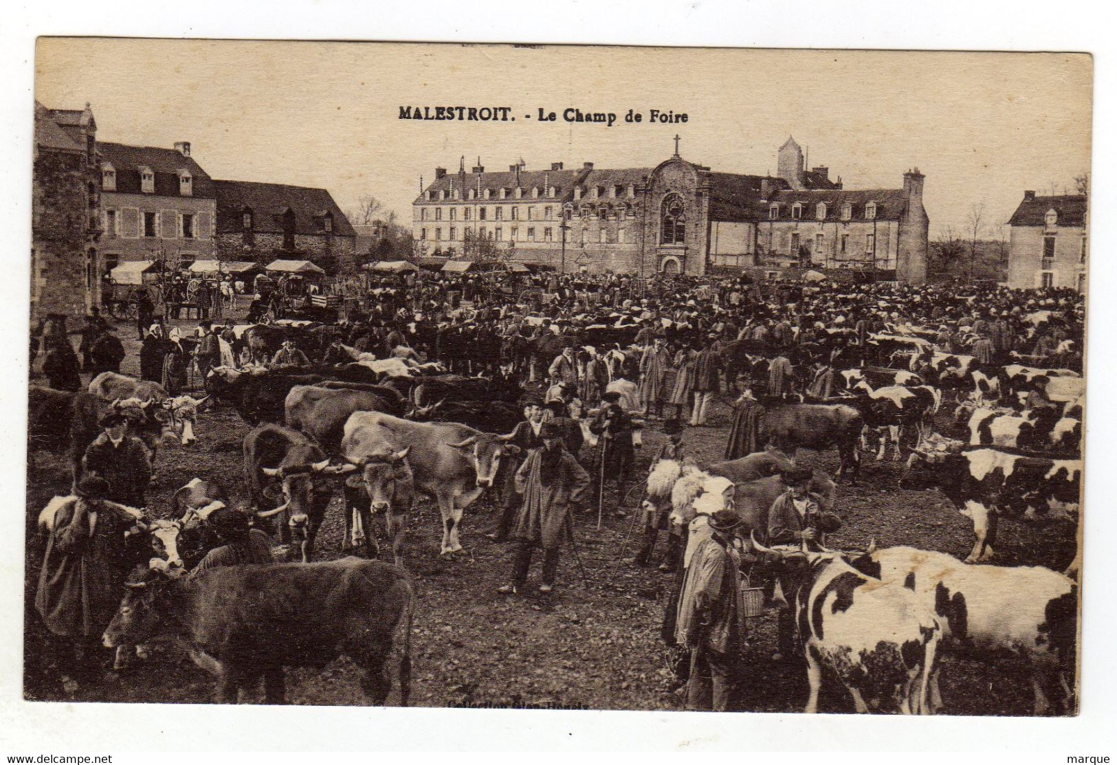 Cpa MALESTROIT Le Champ De Foire - Malestroit