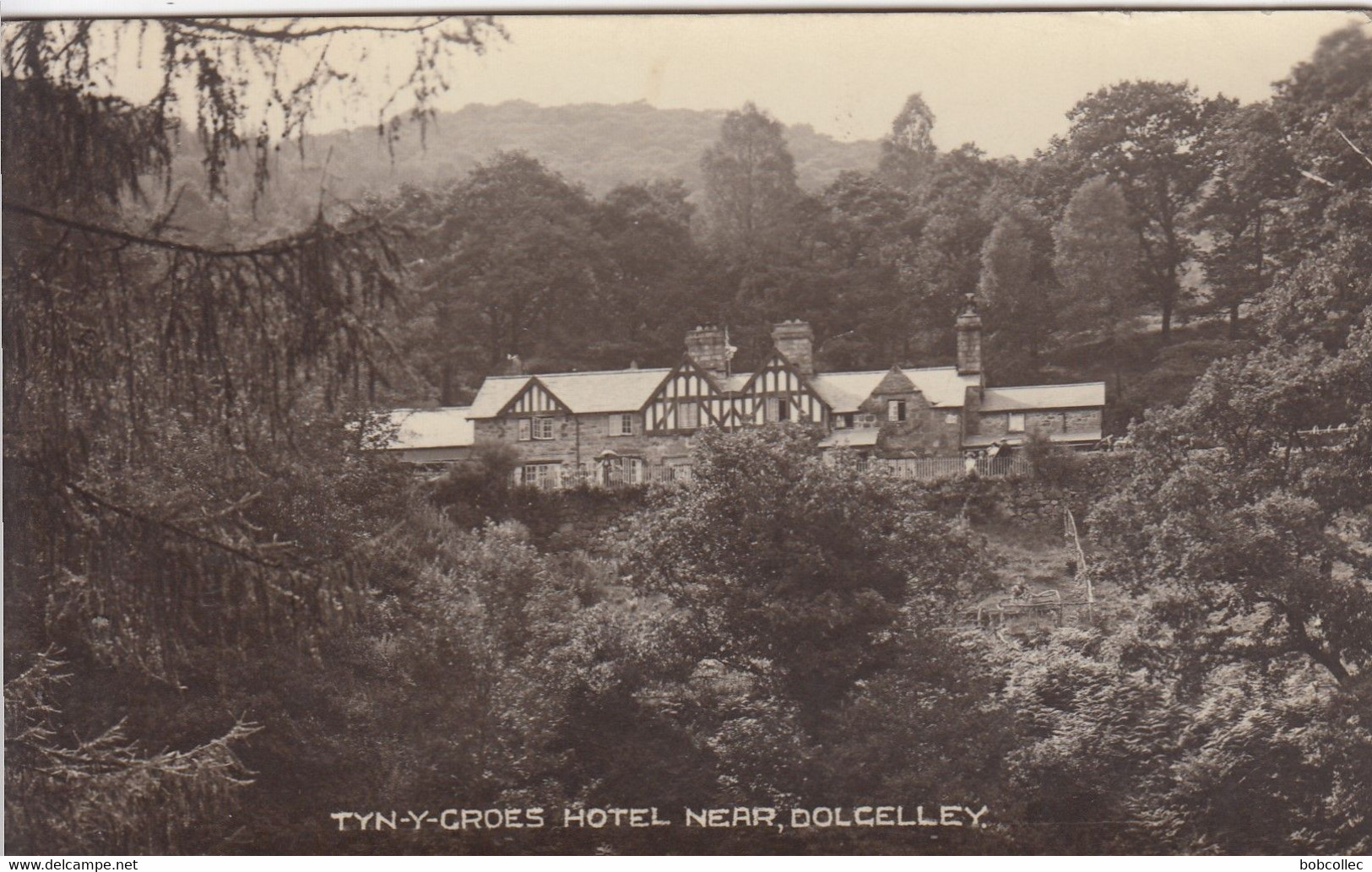 TYN-Y-CROES HOTEL Near DOLCELLEY - Merionethshire