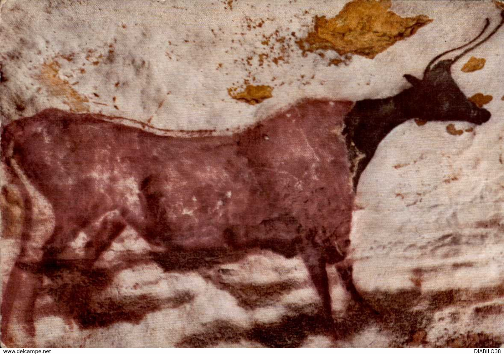 MONTIGNAC-SUR-VEZERE  ( DORDOGNE )  GROTTE DE LASCAUX . DIVERTICULE PAROI GAUCHE  : VACHE A TETE NOIRE ET A CORPS ROUGE - Montignac-sur-Vézère