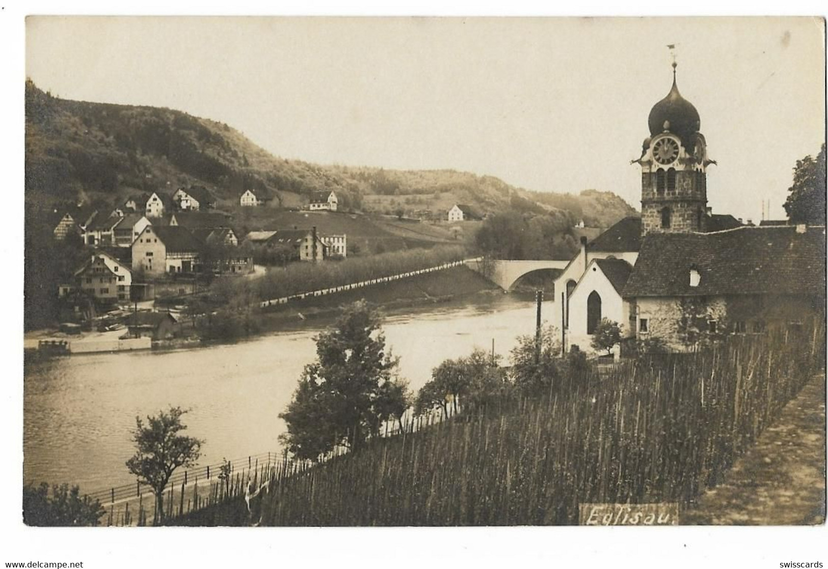 EGLISAU: Echt-Foto-AK Mit Rebberg Am Rhein ~1925 - Eglisau