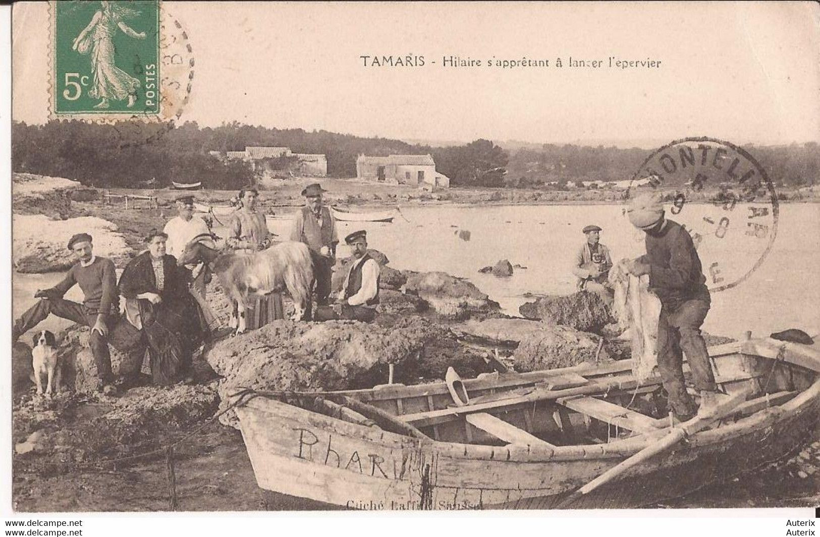 83 Tamaris Hilaire S'appretant A Lancer L'epervier Peche Chevre  Goat - Tamaris