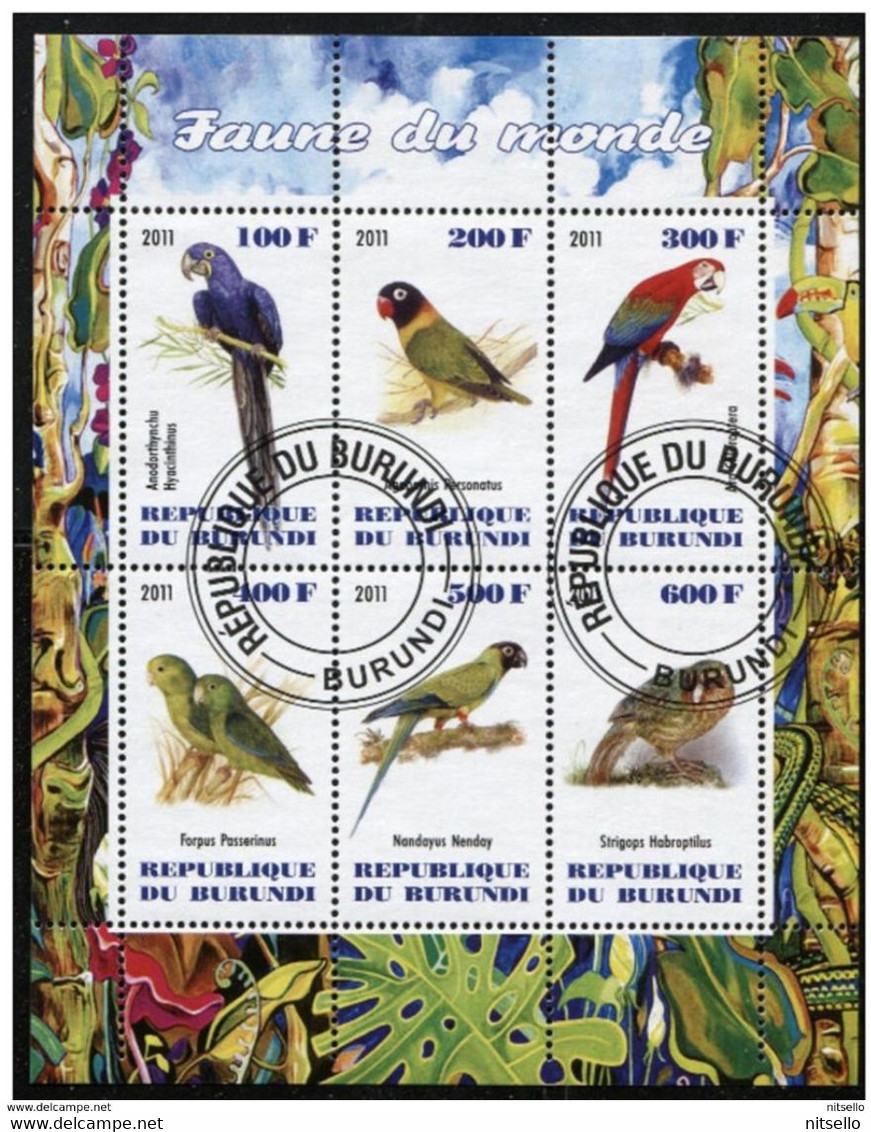 HB FAUNA   ///  (C031)  FAUNA  -  AVES - Parrots