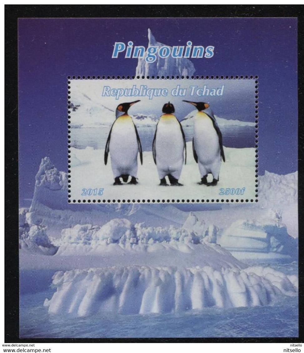 HB FAUNA   ///  (C077)  FAUNA  -  AVES - Pingueinos
